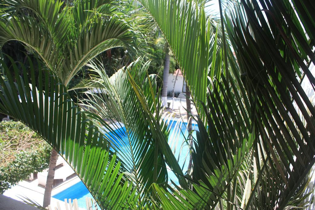 Hotel Olinala Diamante Acapulco Room photo